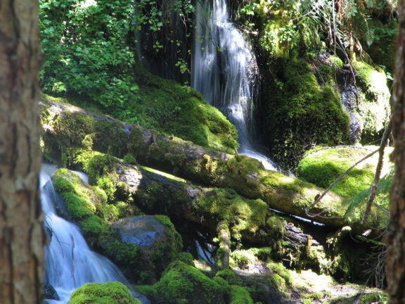 waterfall  Oregon