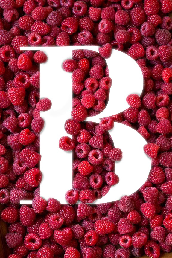 ABC b  berry logo Logotype raspberries буква в   логотип Малина ягоды  pink red красный розовый