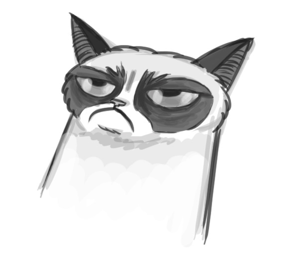 Animation - Grumpy Cat on Behance