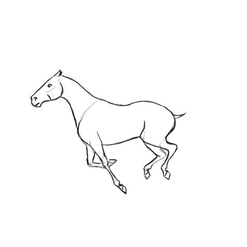 Animated horse on Behance