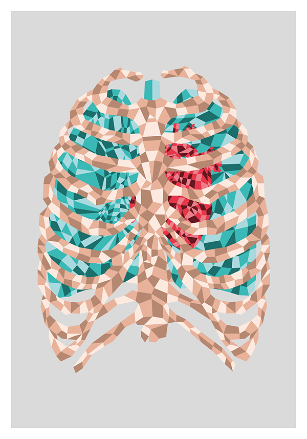 Illustrator anatomy heart bones lungs poster flat