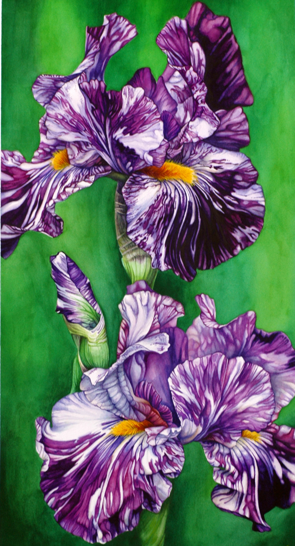 watercolor artprize iris stripes purple