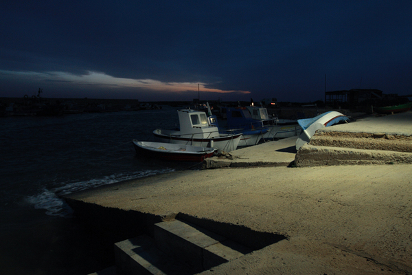 Egadi Islands Landscape Sea Animals Night