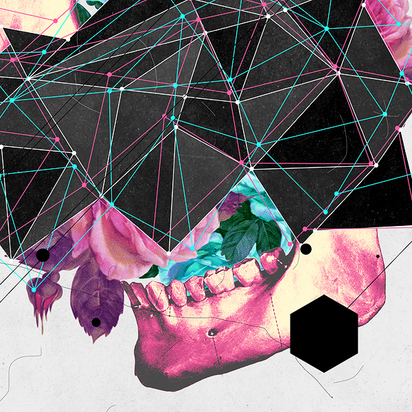 digital  Illustration  skull  roses   popart   manipulation photoshop skull Roses popart manipulation