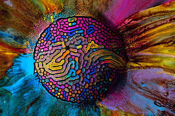 macro colors vivid colorful graphic magnet ferrofluid