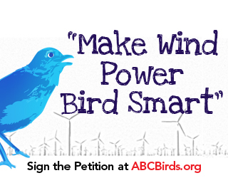 ABC American Bird Conservancy Web Banners ads Web ads motion banner birds Wind Energy wind turbines