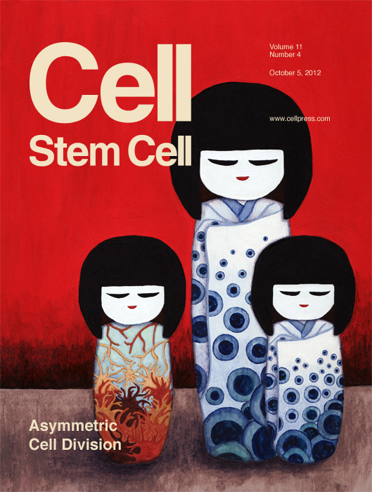 Cell cellstemcell Editorial Illustration Cover Art science stem cells