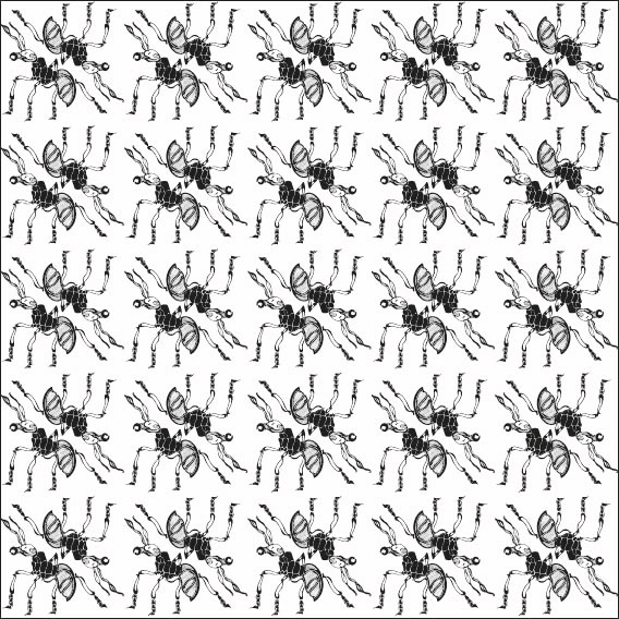 ant hormiga insect artwork vector