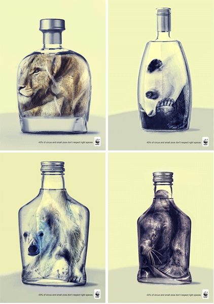WWF photo manipulation matte art animal social Cause cage glass bottle Compressed
