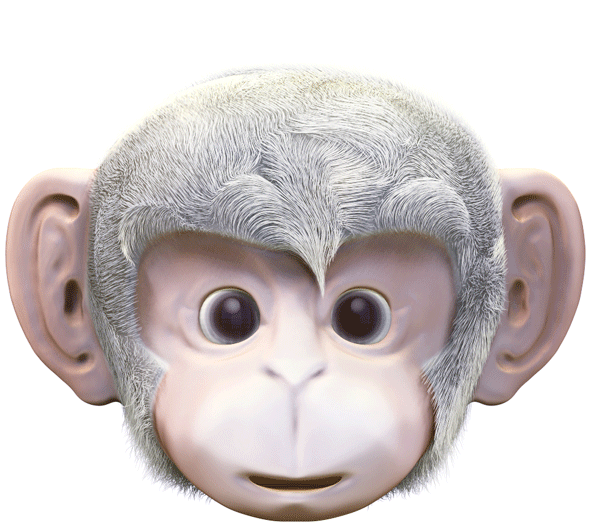 monkey UNO infant Fur hair 3D 3D model Zbrush pixelogic banana Character design game digital