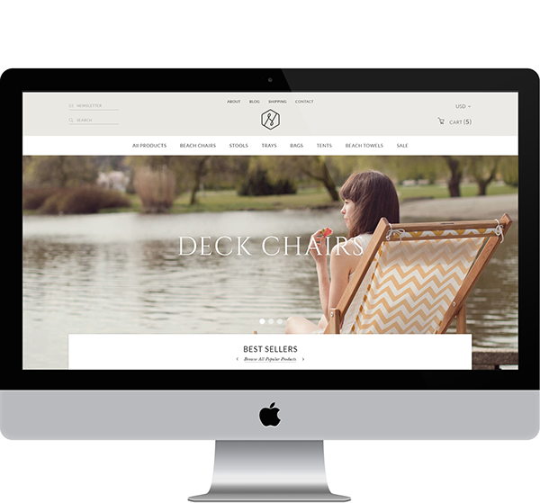 Website Theme Design Shopif user interface e-commerce
