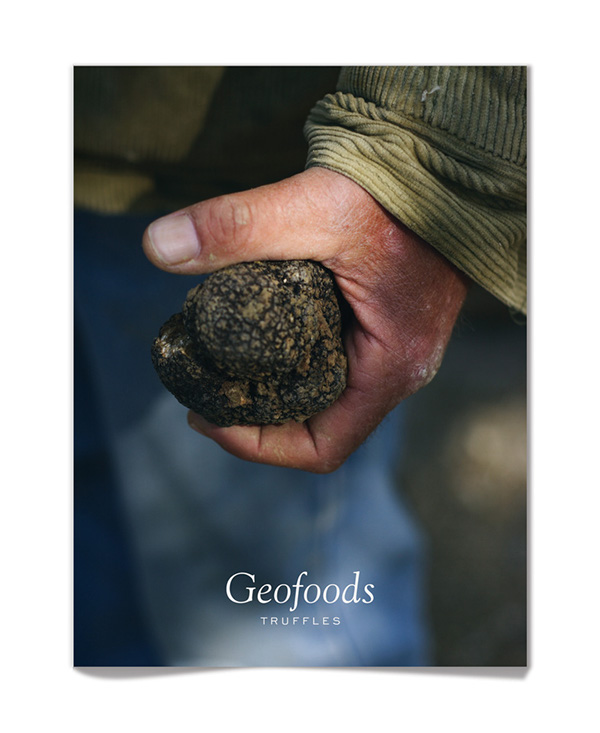 Geofoods / Brochure