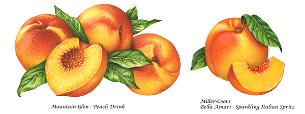 30 Yrs of Stone Fruit Paintings: Peach, Apricot, Cherry