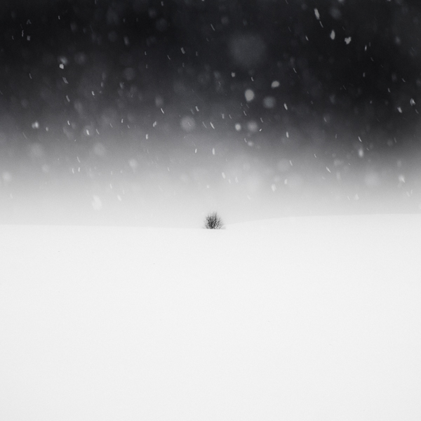 snow winte minimal Landscape zen black and white
