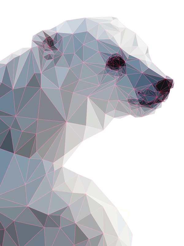 Polar Bear north Pole ice vector cold blue White geometry c4d inspire Low Poly