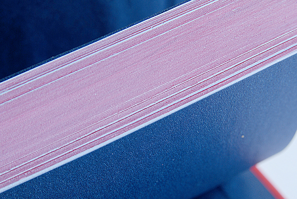 handmade book red skin Indigo DZ roman niña forest song lettering engraving stamping binding