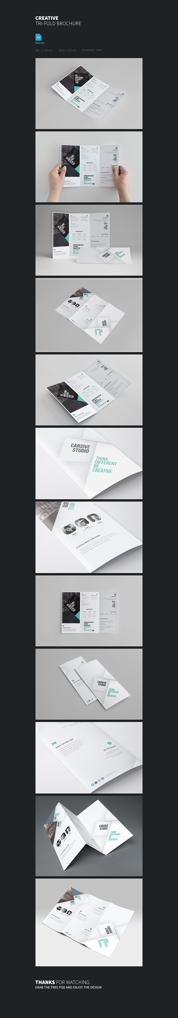 Tri-fold Brochure Template | Freebie