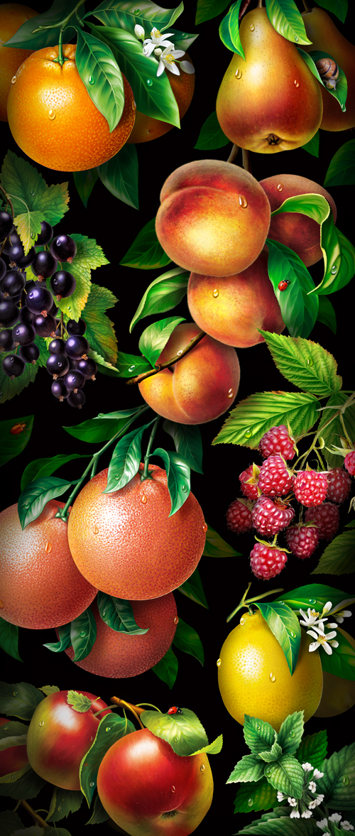 Fruit ILLUSTRATION  orange grapefruit Pear black currant peach raspberry lemon apple