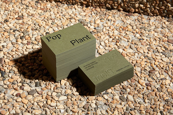Pop Plant