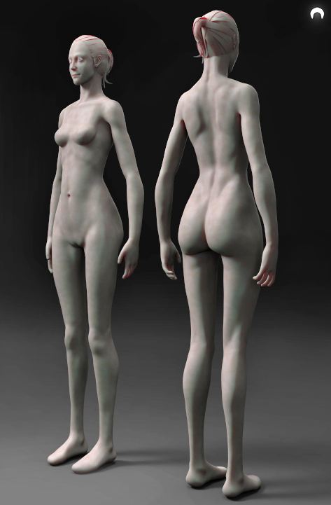 anatomy female study 3D Zbrush keyshot.