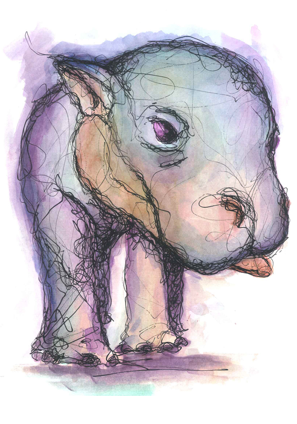scribbles watercolour alex bluehair palhaço clow raposa elephant taurus hippo bull FOX Cartola