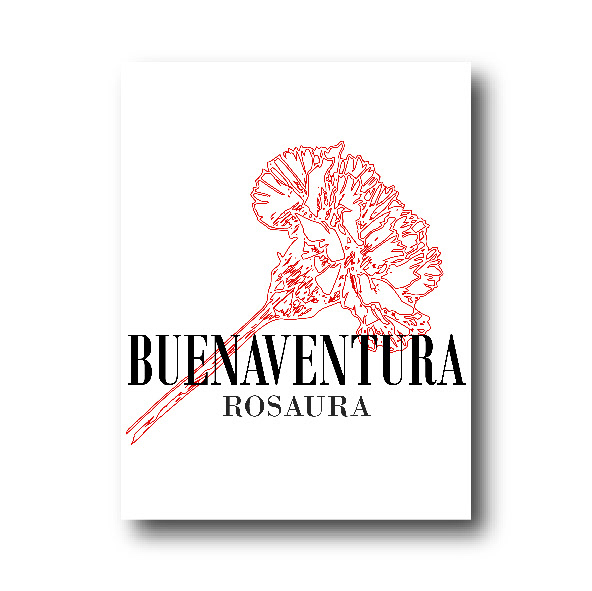 branding  diseño Branding Identity Flamenco collage diseño gráfico ilustracion