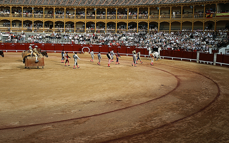 black and white portraits Travel matador spain kids editorial people men bull fighting