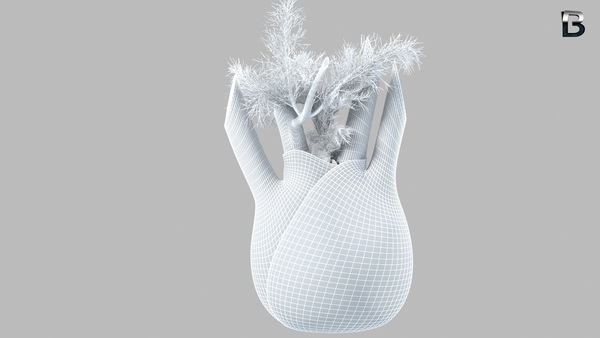 Behance bright parameters  christophorus elfez Chubby Networks food and organic shapes CGI