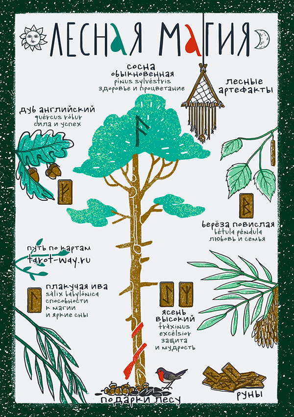 postcard Magic   greenmagic ILLUSTRATION  forest tarot