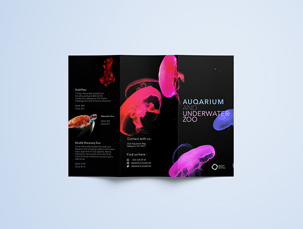 Trifold brochure design