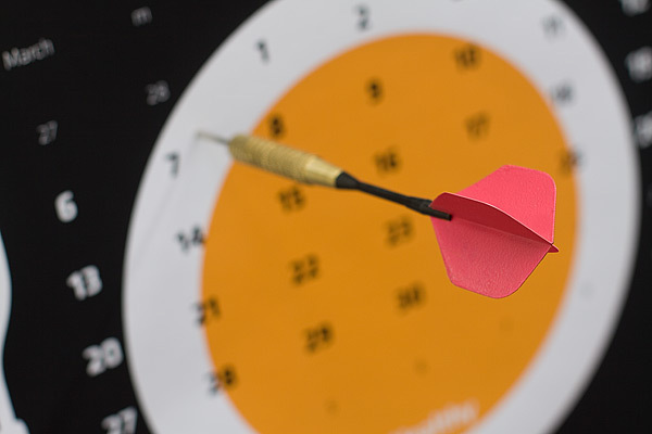 Dorogaya awarded calendar Custom Chobotaryov dart diagrams target practice targeting 2011