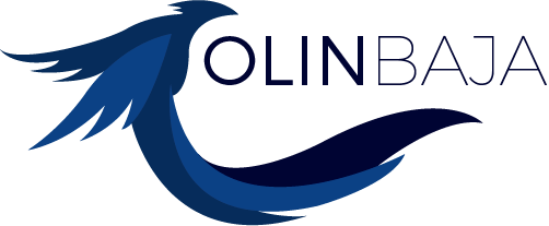 logo design Phoenix
