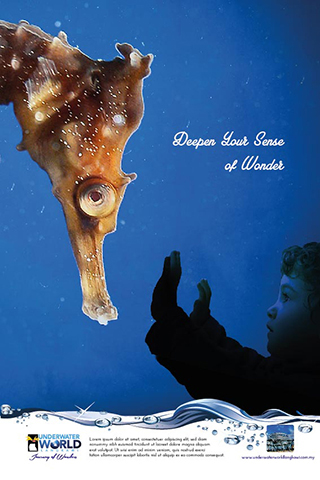 Underwater world sealife poster Magazine Ads digital imaging  compositing