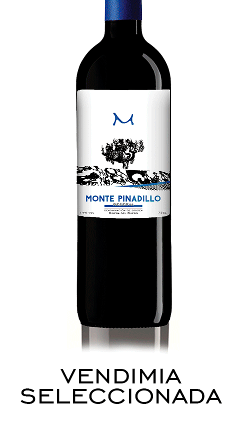 brand identity design diseño diseño gráfico etiqueta identity ilustracion marca Packaging wine label
