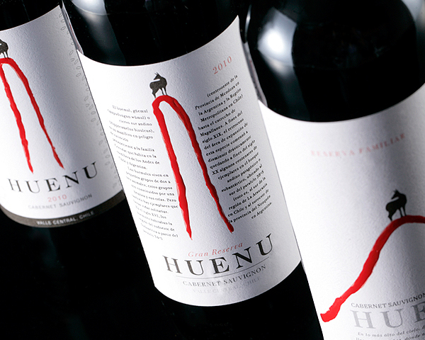 wine  label  design  wine label  Wine labels  CHILE  Packaging  package  chilean wine