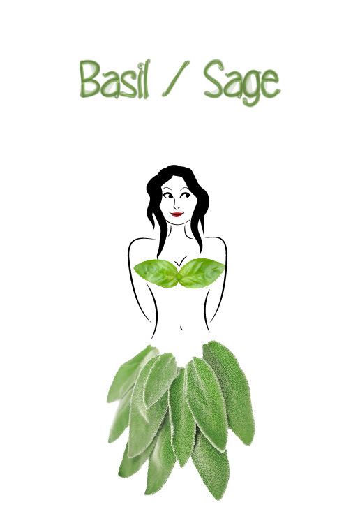 epices spice girls spices Basil Sage basilic sauge femme girl