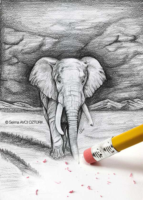 creative advertising Poster Design sketching elephant wildlife Nature environmental WWF Pencil drawing hand drawing process