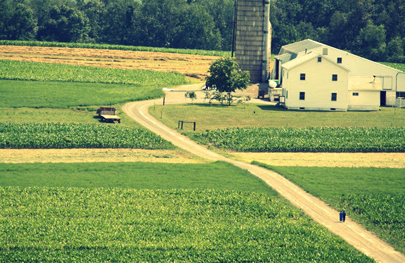 farm light art Amish winery fields corn hay rainbows ducks