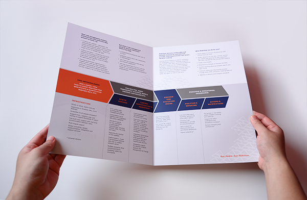 logo business card brochure Layout software