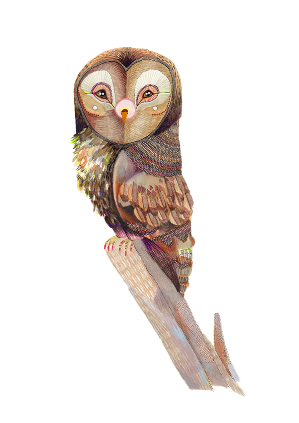 owl limited edition giclee artwork