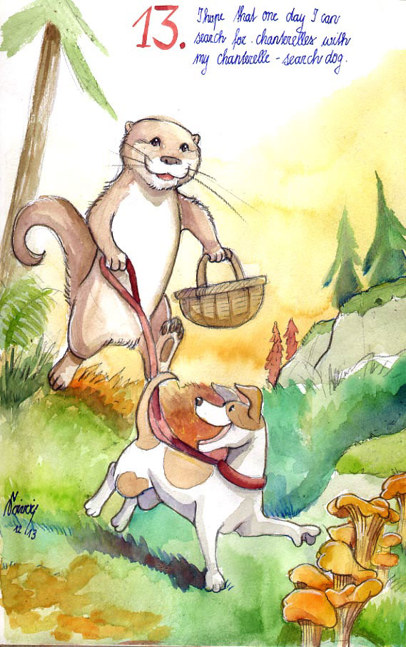 children's book otter advent calendar Christmas watercolour animals fantasy wishes cartoon