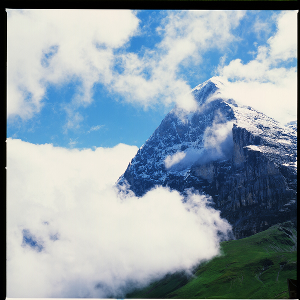 Kleine Scheidegg Hasselblad summer cows Nature mountains swiss Switzerland Suisse Jungfraujoch Jungfrau
