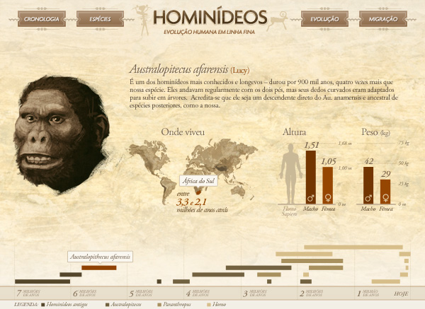 hominideos  ancestrais humanos evolucao humana homo sapiens