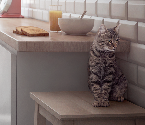kitchen CG Interior MAX vray photoshop modeling apmira Cat Render