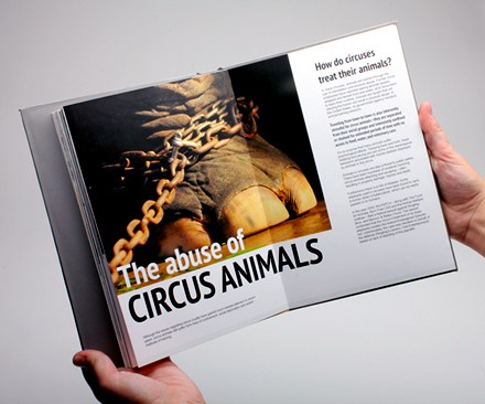 book  ASPCA  animals  non-profit