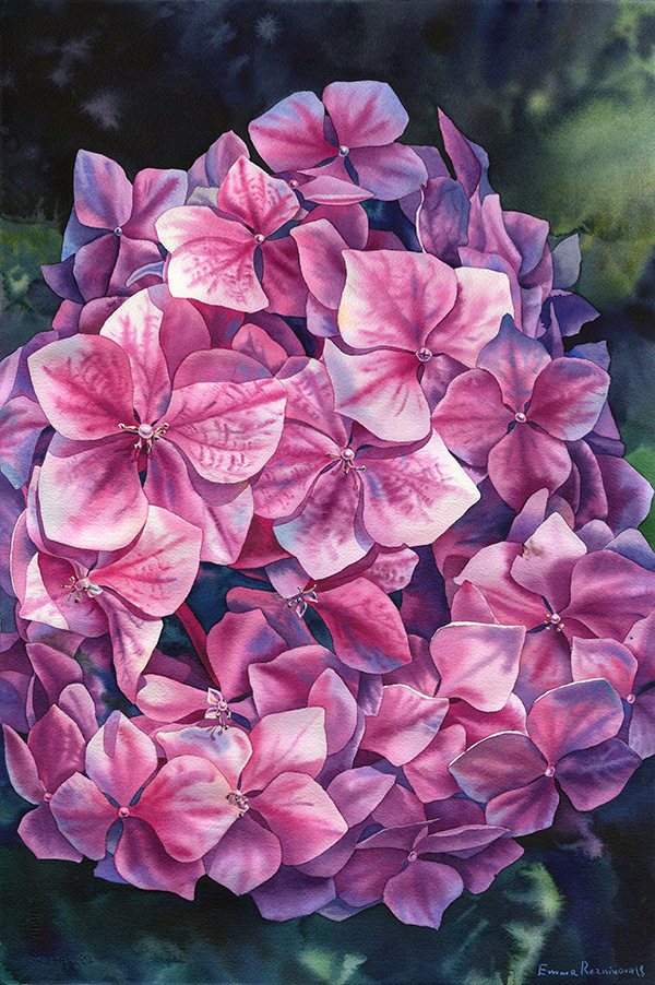 flower floral Flowers watercolor painting   artwork Drawing  artist hydrangea