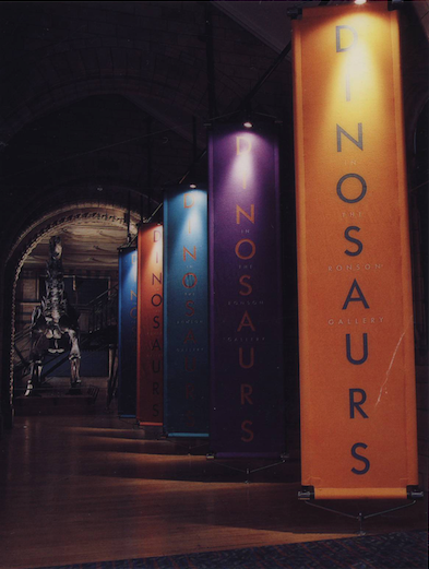 dinosaurs museums paleontology installation