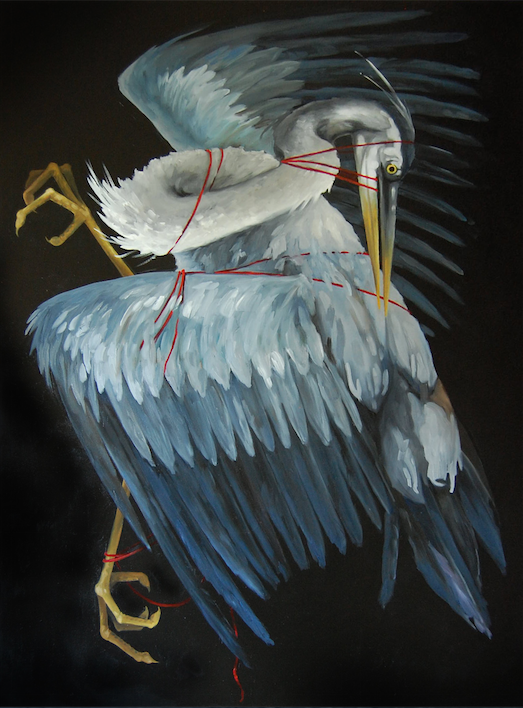 acrylic bird birds dead dead birds fine art momento mori oil painting   portraits