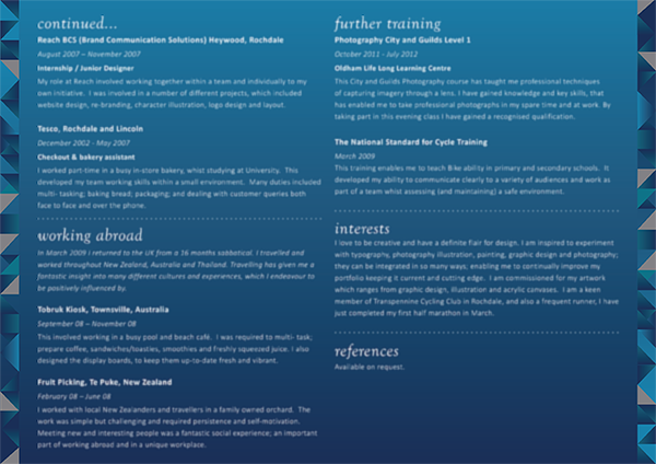 CV infographic information graphics Curriculum Vitae