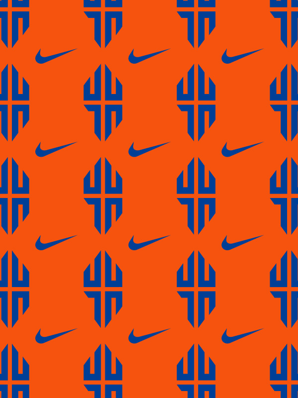 Nike shoe shirt tshirt shirts logo identity visual identity apparel linsanity New York new york knicks NBA jeremy lin